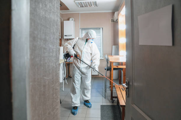 Best Mold Documentation for Insurance Claims  in Shelburn, IN