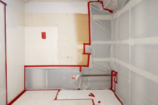 Reliable Shelburn, IN Mold Removal Solutions