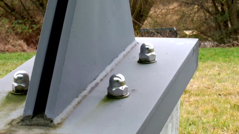 Best Mold Prevention Services  in Shelburn, IN
