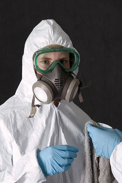  Shelburn, IN Mold Removal Pros